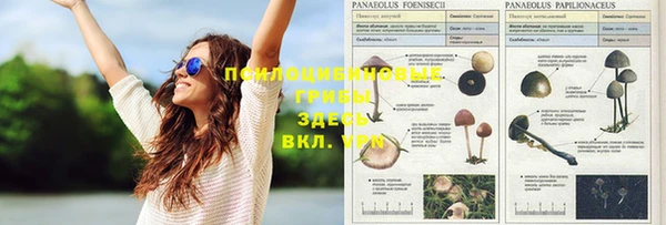 бошки Богородицк