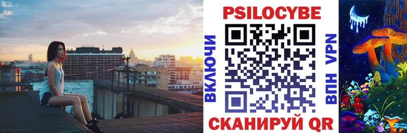 Галлюциногенные грибы Psilocybe  Купить закладки  Касли 